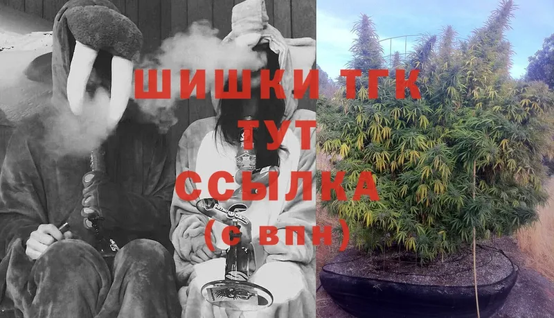 Шишки марихуана Ganja  Шумиха 